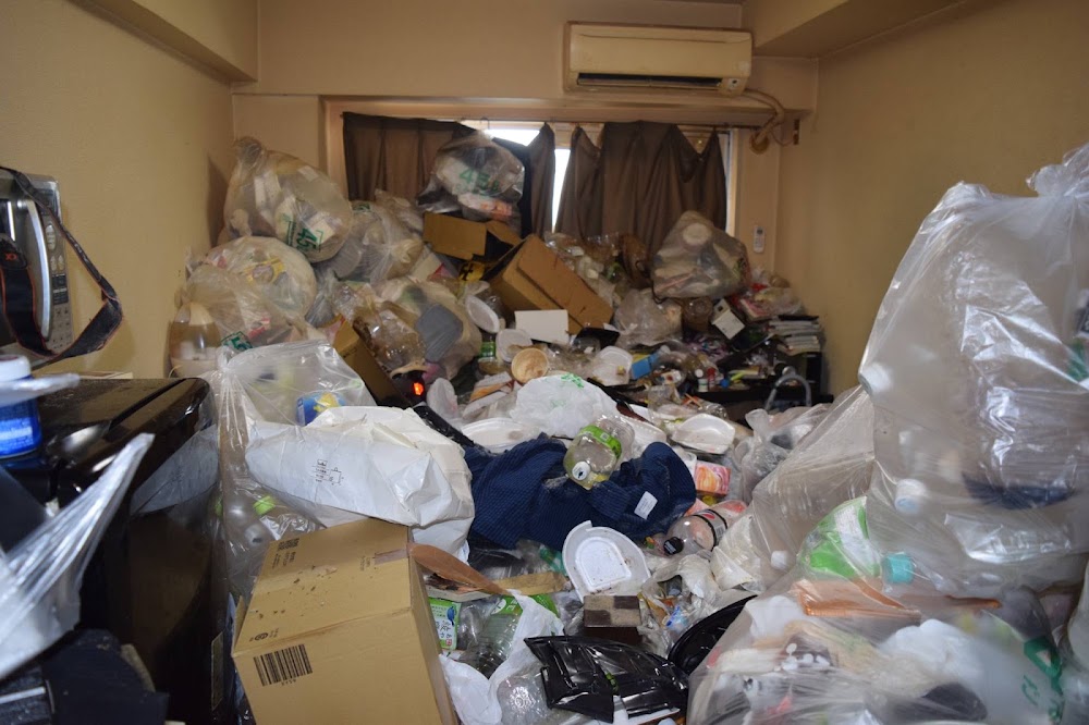 Hoarder Clean Up