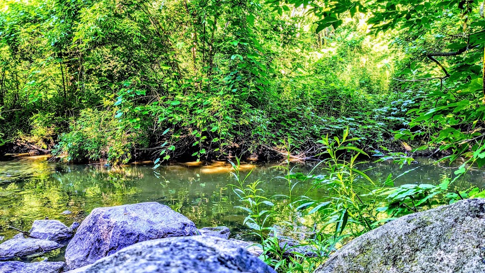 South Fletcher's Creek Park