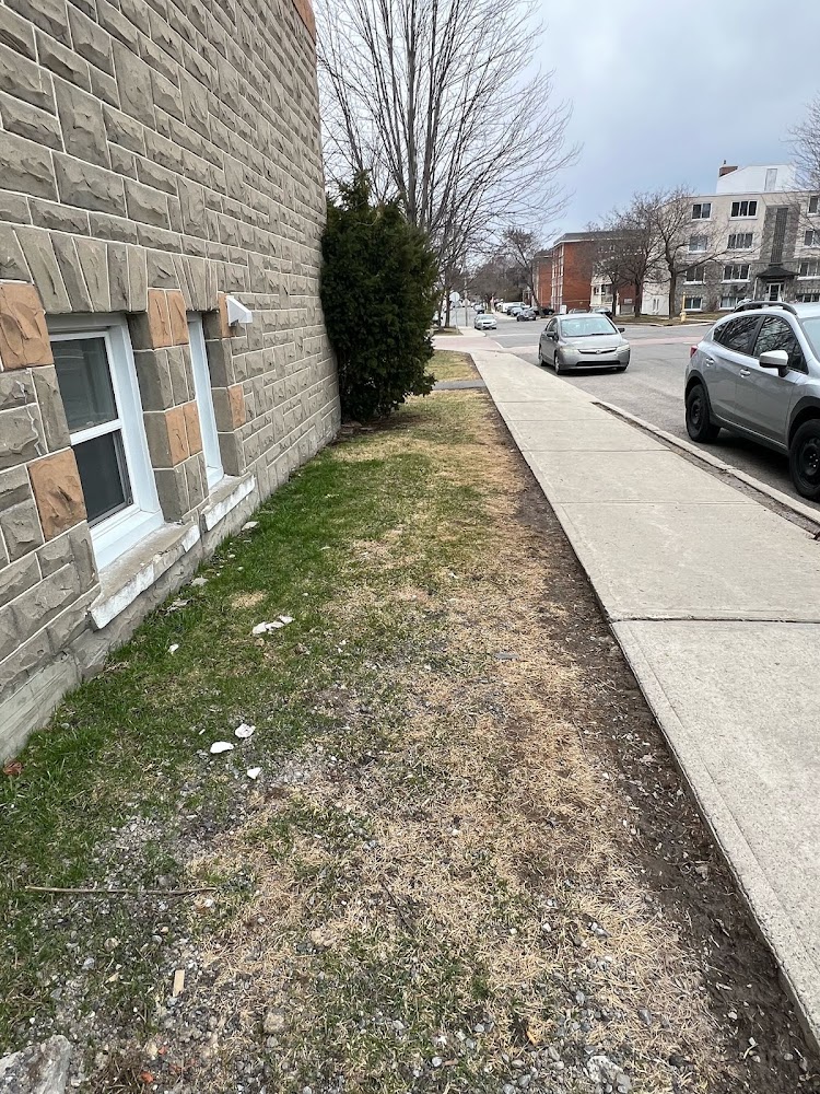 Moe's Lawn & Gardening Service