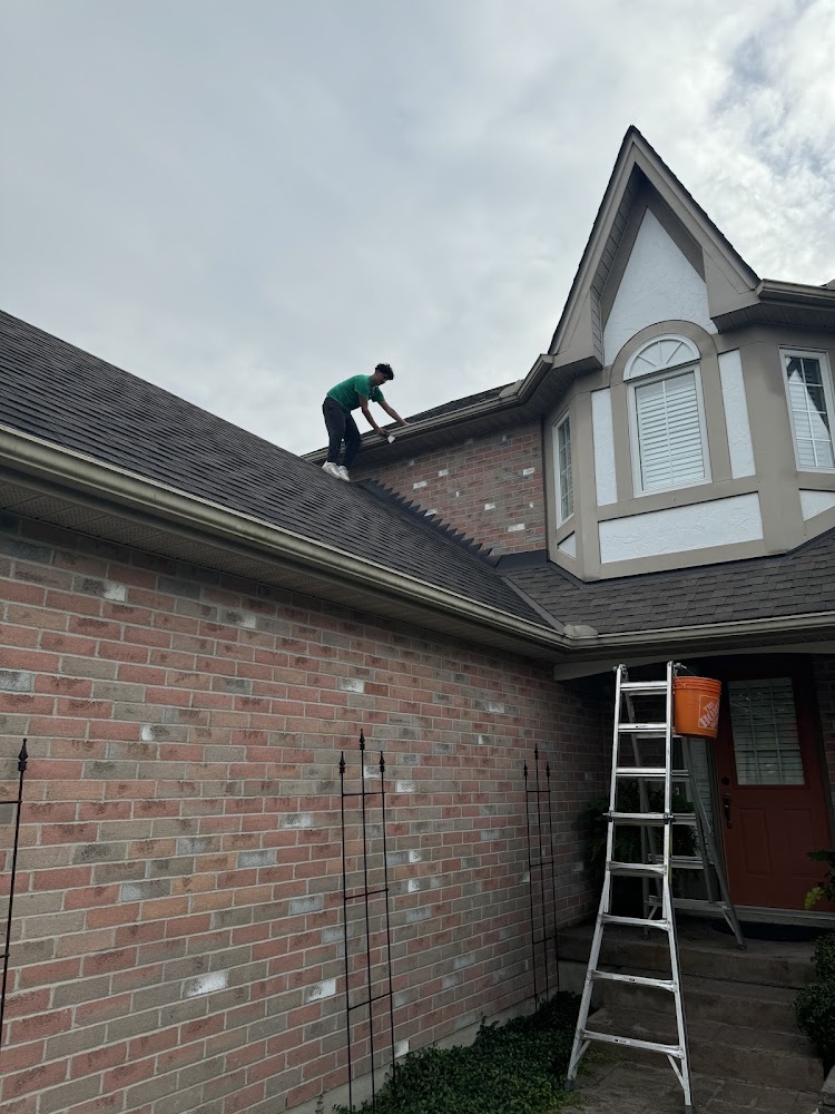 Apexx Property Services