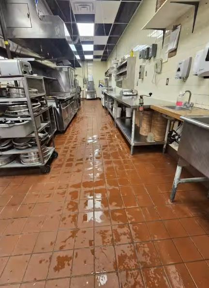 The Fresh Cleaning